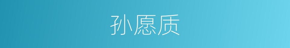 孙愿质的同义词