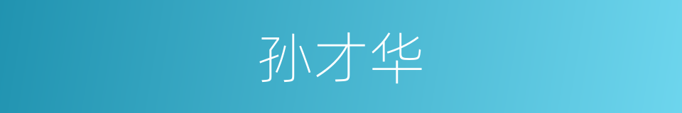 孙才华的同义词