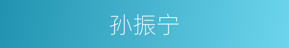 孙振宁的同义词