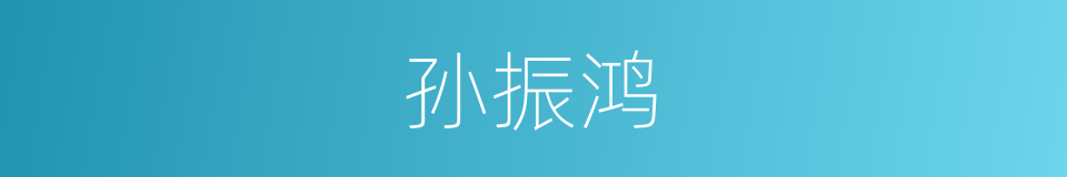 孙振鸿的同义词