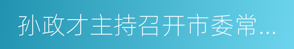 孙政才主持召开市委常委会会议的同义词