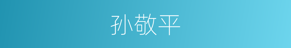 孙敬平的同义词