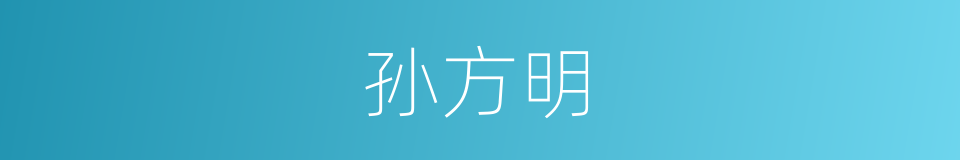 孙方明的同义词