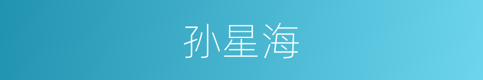 孙星海的同义词