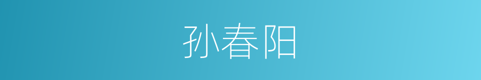 孙春阳的同义词