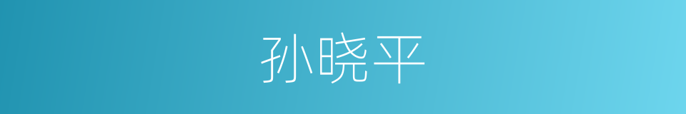 孙晓平的同义词