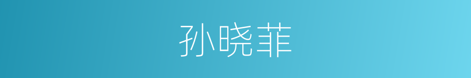 孙晓菲的同义词