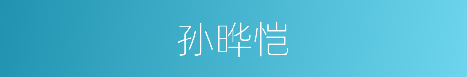 孙晔恺的同义词