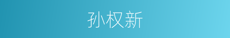 孙权新的同义词