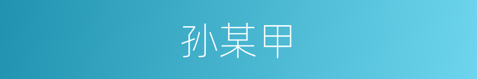 孙某甲的同义词