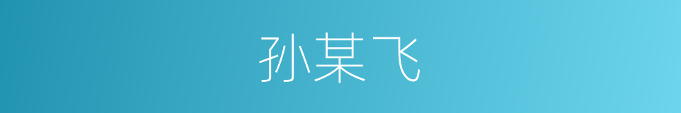 孙某飞的同义词