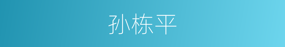 孙栋平的同义词