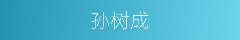 孙树成的同义词