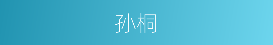 孙桐的同义词