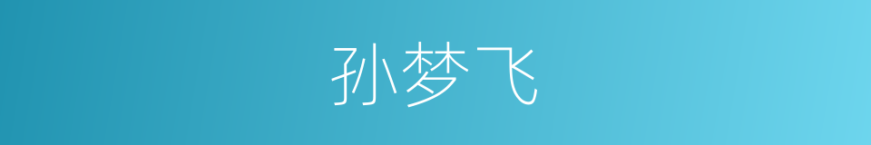 孙梦飞的同义词