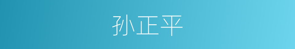 孙正平的同义词
