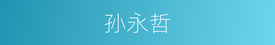 孙永哲的同义词