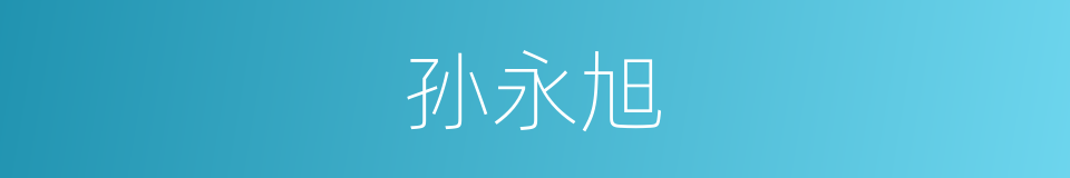 孙永旭的同义词