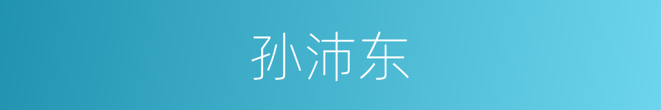 孙沛东的同义词