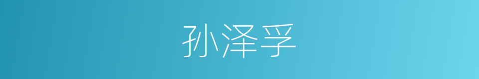 孙泽孚的同义词