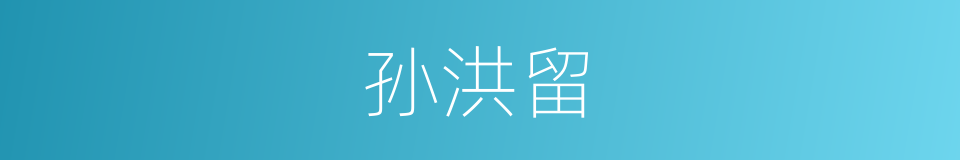 孙洪留的同义词