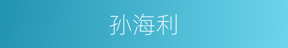 孙海利的同义词