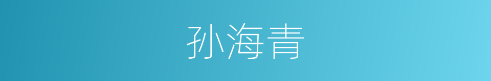 孙海青的同义词