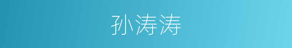 孙涛涛的同义词
