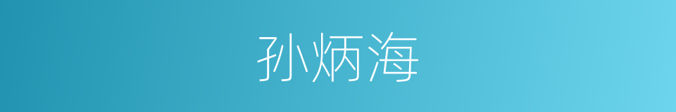 孙炳海的同义词