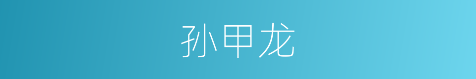 孙甲龙的同义词