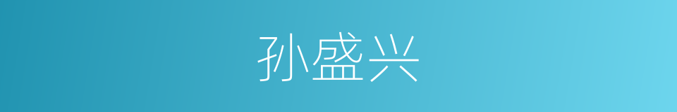 孙盛兴的同义词