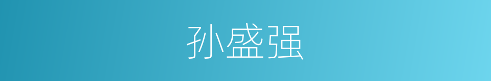 孙盛强的同义词