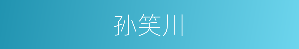 孙笑川的同义词