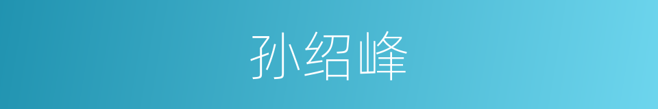 孙绍峰的同义词