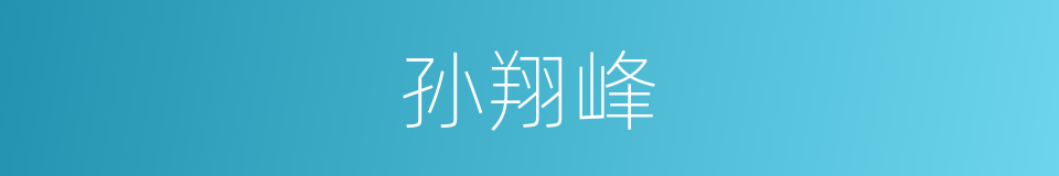 孙翔峰的同义词