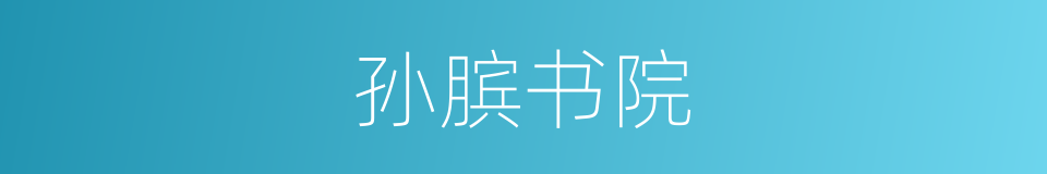 孙膑书院的同义词