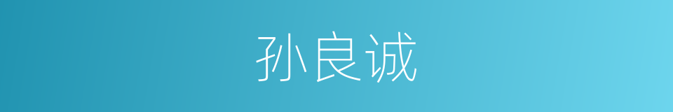 孙良诚的同义词
