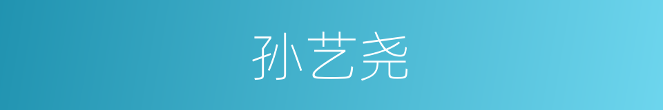 孙艺尧的同义词