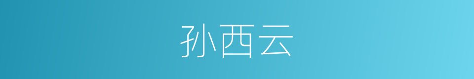 孙西云的同义词