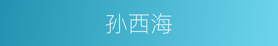 孙西海的同义词