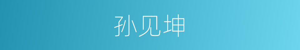 孙见坤的同义词