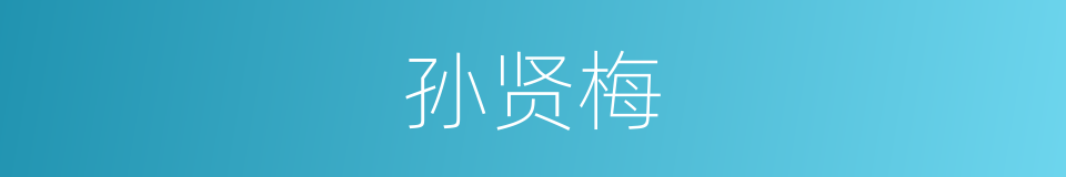 孙贤梅的同义词