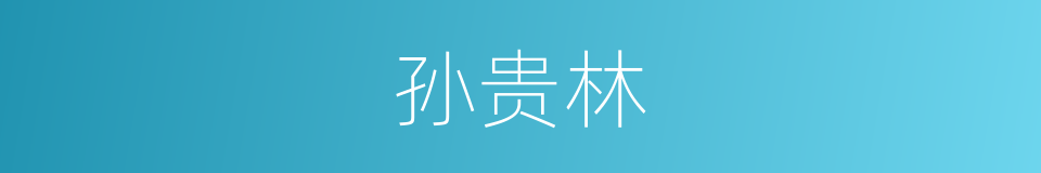 孙贵林的同义词