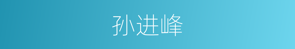 孙进峰的同义词