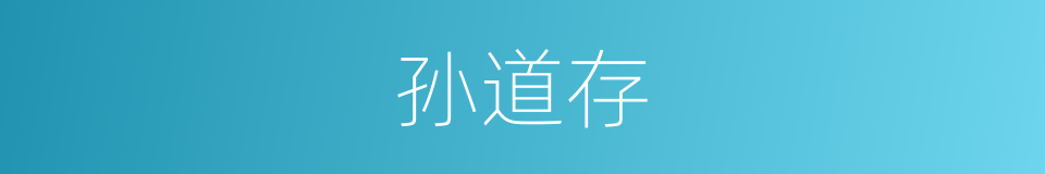 孙道存的同义词