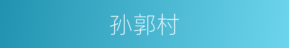 孙郭村的同义词