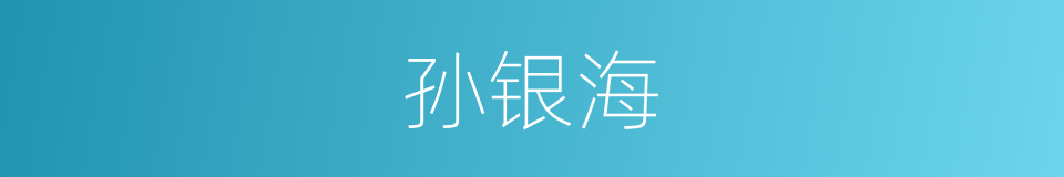 孙银海的同义词