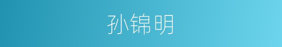 孙锦明的同义词