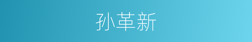 孙革新的同义词