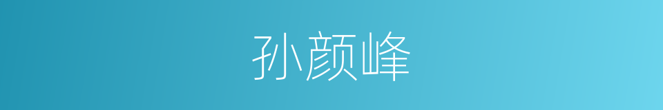孙颜峰的同义词